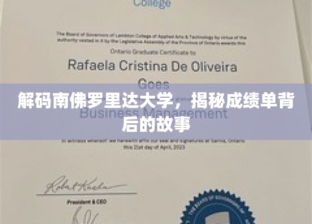 探寻南佛罗里达大学成绩单背后的秘密世界