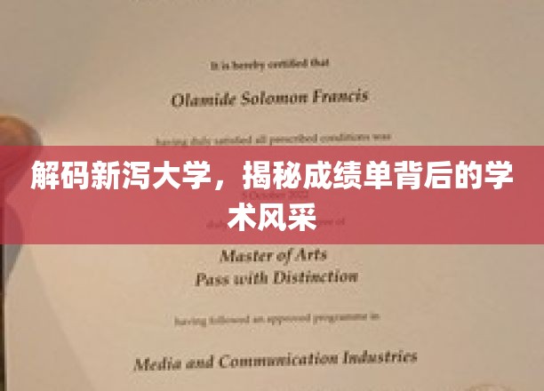 探索新泻大学，揭开成绩单背后的学术魅力