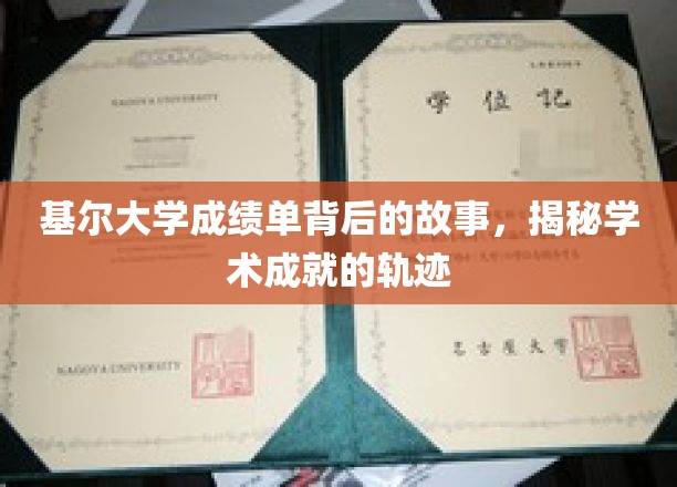基尔大学成绩单里的秘密轨迹，探寻学术辉煌的幕后故事