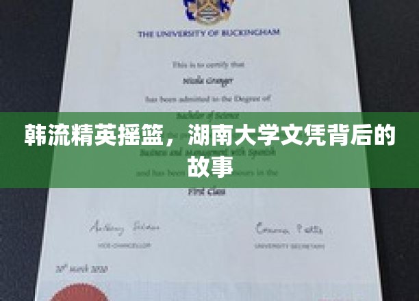 韩流精英摇篮，湖南大学文凭背后的故事