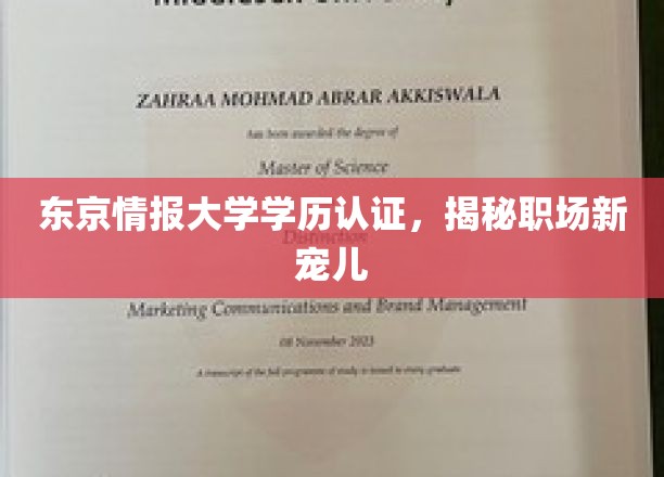 东京情报大学学历认证，揭秘职场新宠儿