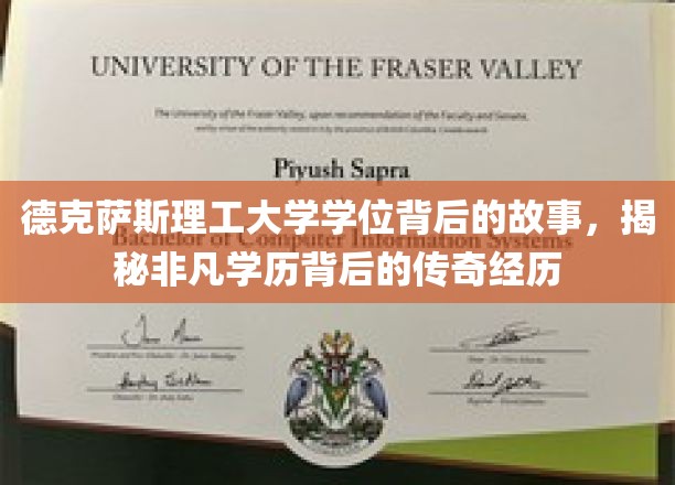 解码德克萨斯理工大学，非凡学位背后的传奇之旅