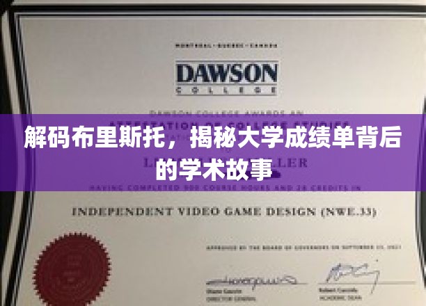 解码布里斯托，揭示大学成绩单背后的学术故事