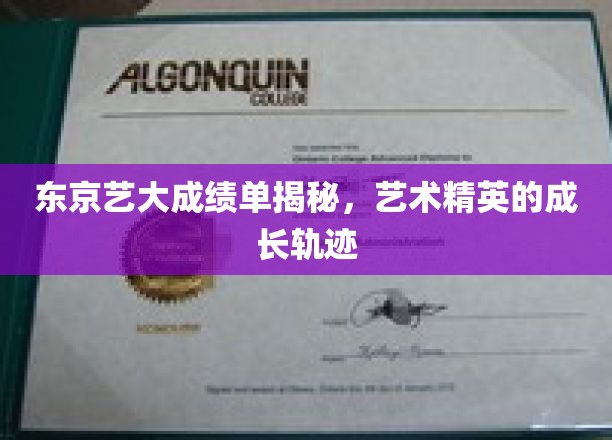 解码东京艺大，艺术翘楚的奋斗之路