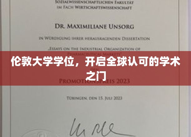 伦敦大学学位，开启全球认可的学术之门