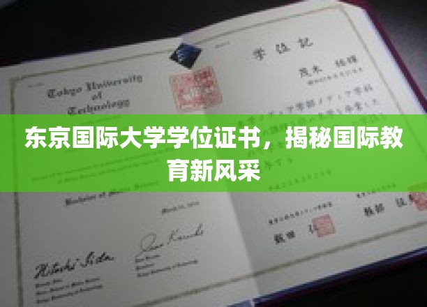 解码东京国际大学，国际教育新篇章的学位风采