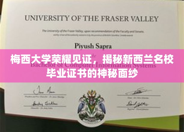 梅西荣耀，解码新西兰名校证书的非凡魅力