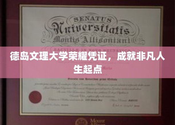 德岛文理大学荣耀凭证，成就非凡人生起点