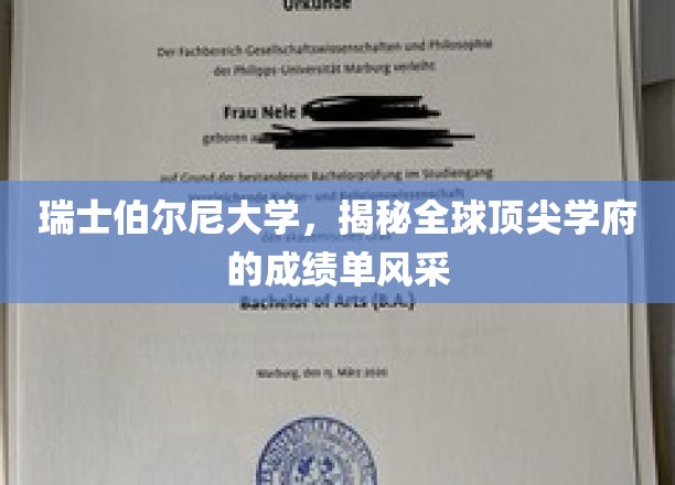 瑞士伯尔尼大学，揭秘世界级教育殿堂的卓越成绩与风采