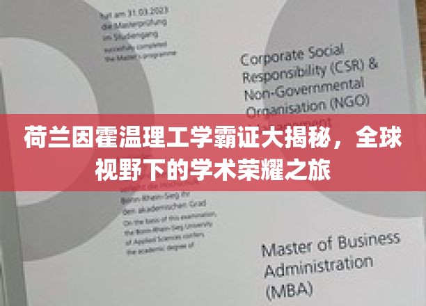 探索荷兰因霍温理工精英风采，跨国学术之旅的璀璨星辉