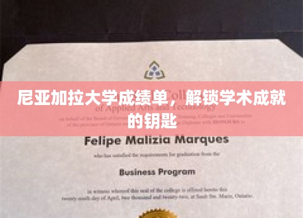 尼亚加拉大学成绩单，解锁学术成就的钥匙