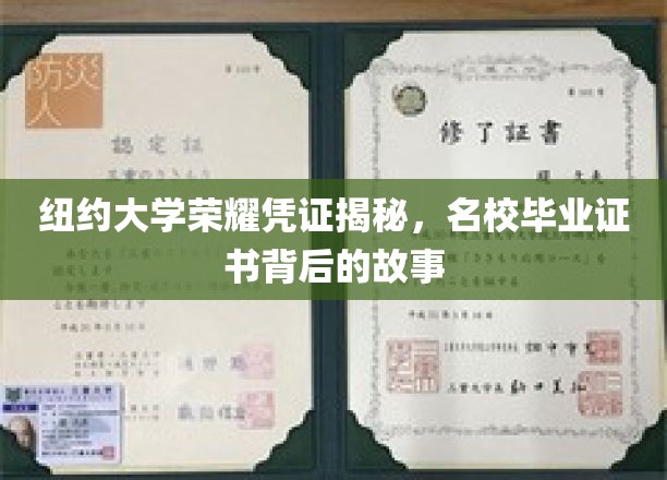 纽约大学毕业证书，揭开名校光环背后的真实历程