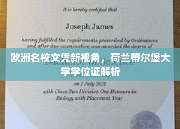欧洲名校文凭新视角，荷兰蒂尔堡大学学位证解析