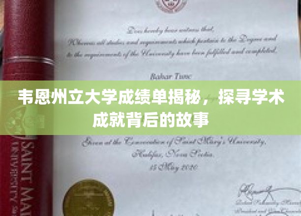 韦恩州立大学成绩单揭秘，探寻学术成就背后的故事