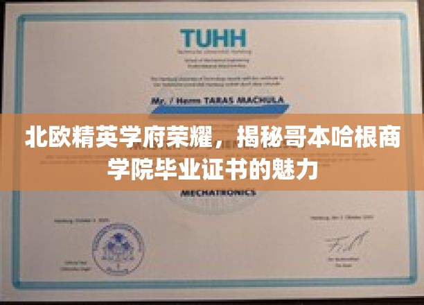 哥本哈根商学院荣耀证照，北欧精英教育的独特魅力揭秘