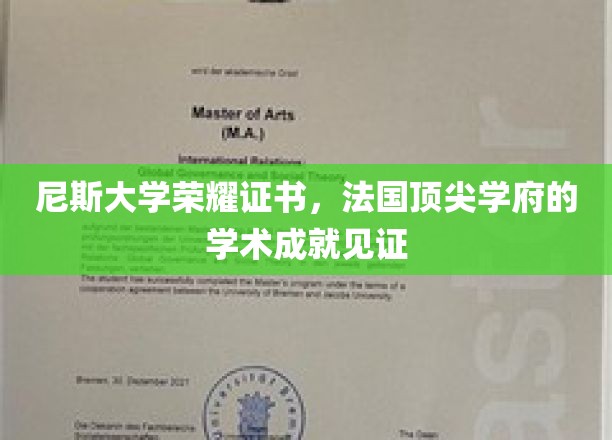 法国尼斯大学荣耀加冕，学术巅峰成就的璀璨见证