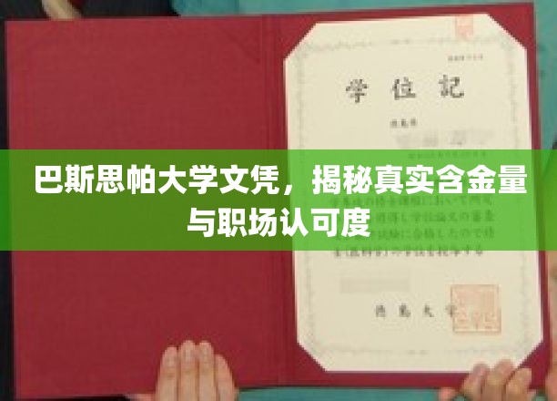 巴斯思帕大学文凭，揭秘职场中的真实价值与认可度