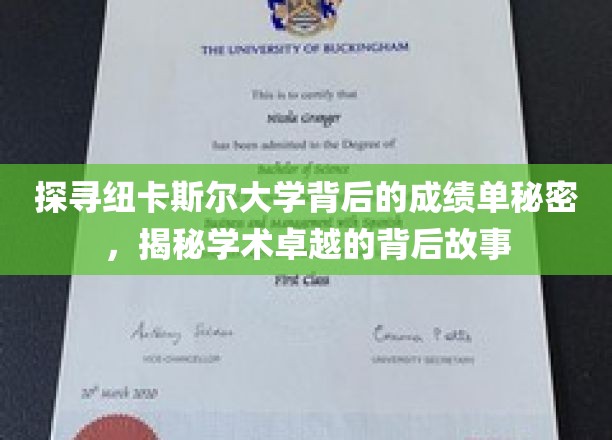 纽卡斯尔大学揭秘，成绩单背后的卓越之路
