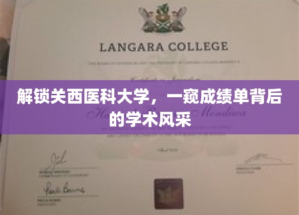 探秘关西医科大学，揭开成绩单背后的学术魅力面纱