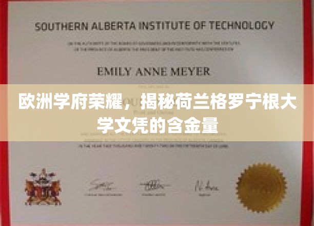 欧洲学术明珠，揭秘荷兰格罗宁根大学文凭的璀璨价值