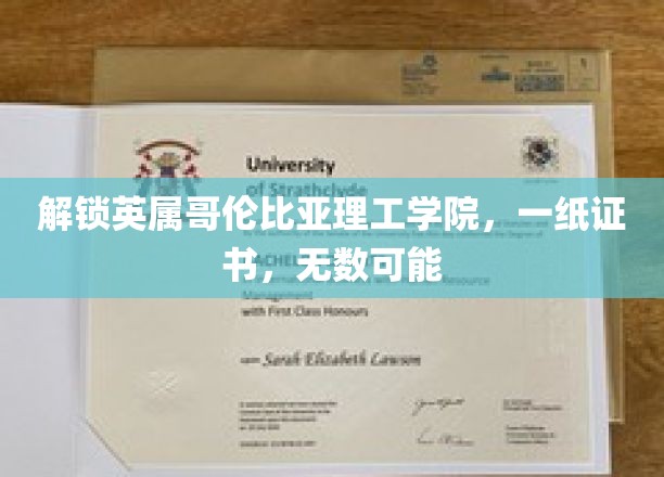 英属哥伦比亚理工学院证书，开启无限职业可能的大门