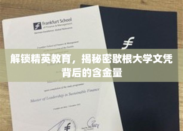 解锁精英教育，揭秘密歇根大学文凭背后的含金量