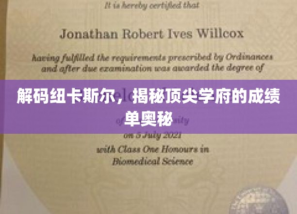 解码精英摇篮，纽卡斯尔大学卓越成就背后的秘密