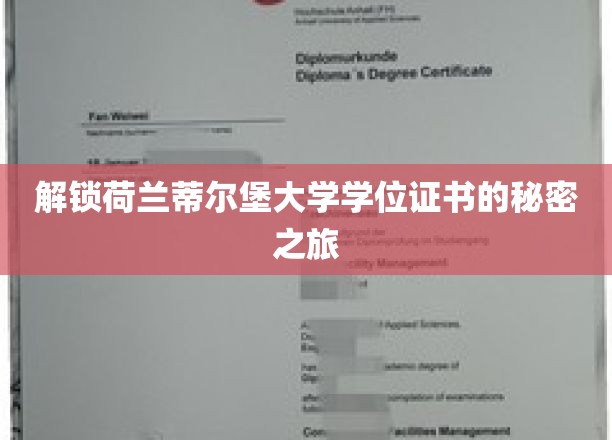 探秘荷兰蒂尔堡大学，学位证书背后的精彩旅程