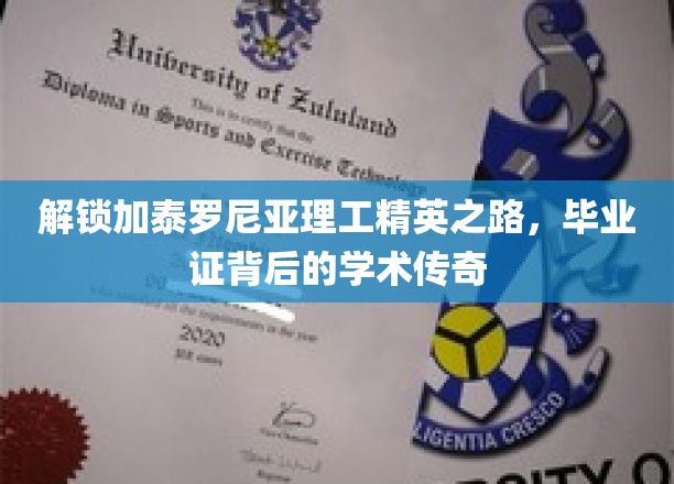 加泰罗尼亚理工精英养成记，毕业证背后的辉煌历程