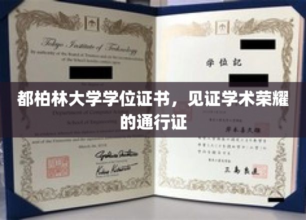 都柏林大学学位证书，见证学术荣耀的通行证