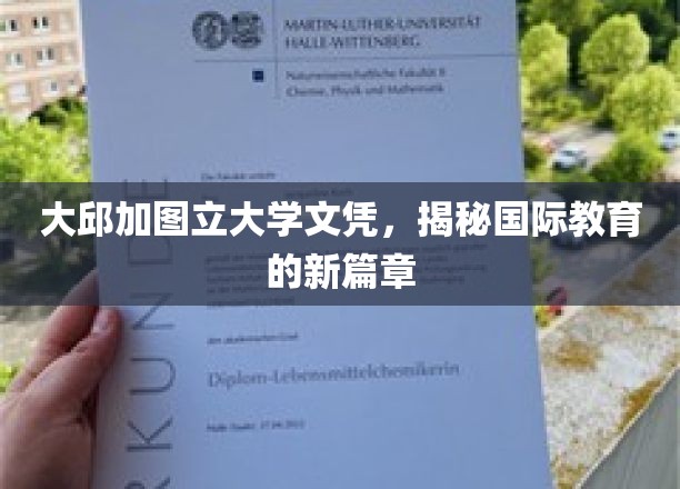 大邱加图立大学文凭，开启国际教育新篇章