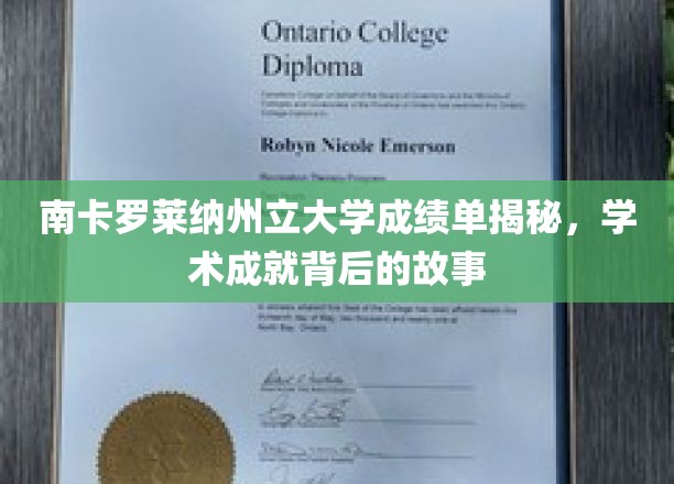 探索南卡罗莱纳州立大学卓越背后的真实学术传奇