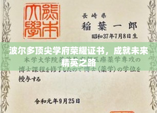 波尔多顶尖学府荣耀证书，成就未来精英之路
