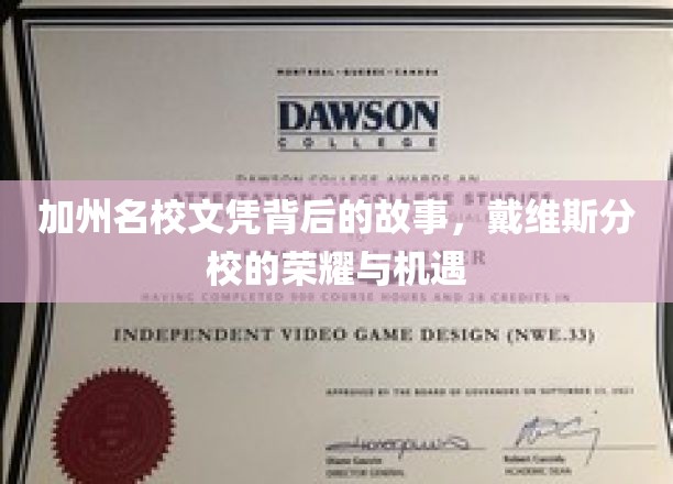 解码加州戴维斯，名校光环下的真实轨迹