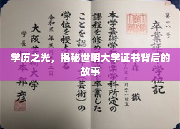 证书背后的传奇，世明大学学历揭秘之旅