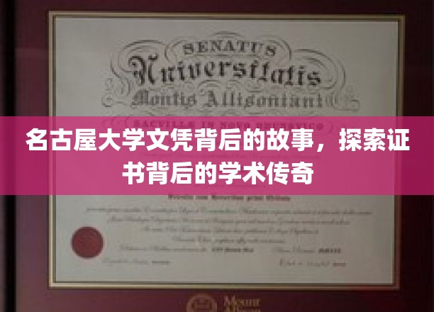 名古屋大学文凭背后的故事，探寻证书背后的学术传奇