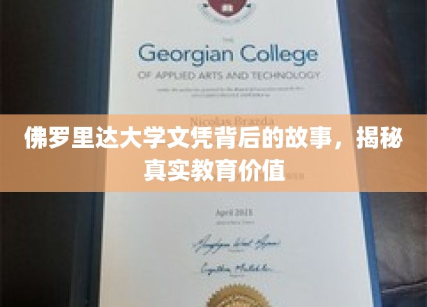 佛罗里达大学文凭背后的故事，揭示真实的教育价值