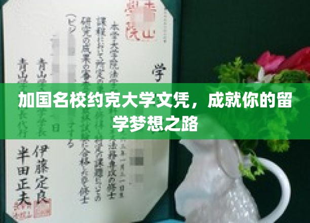约克大学文凭，助力梦想启航的留学之旅