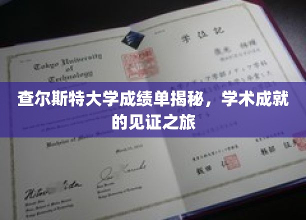探秘查尔斯特大学，成绩单背后的辉煌学术历程