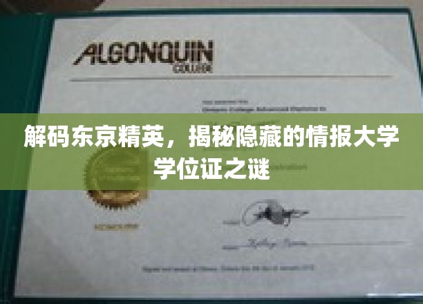 解码东京精英，揭秘隐藏的情报大学学位证之谜