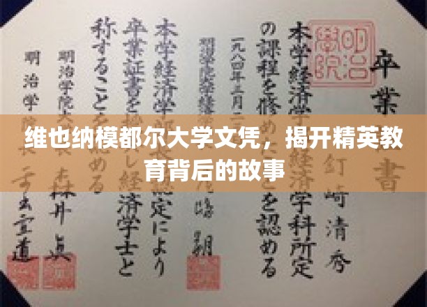 维也纳Modul大学文凭，揭开精英教育背后的故事