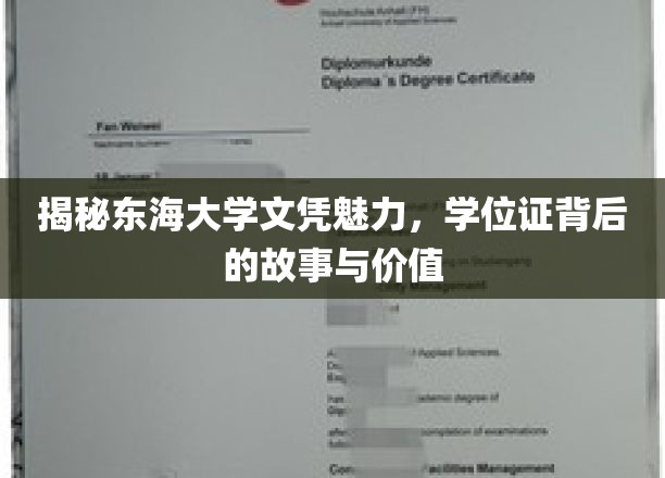 东海文凭的秘密，探寻学位证背后的非凡价值与传奇故事