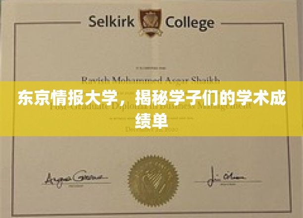 东京情报大学风云录，一窥学子们的学术实力与成长轨迹