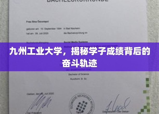 九州工业大学，学子成绩背后的汗水与足迹