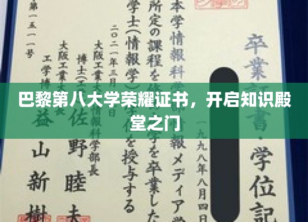 巴黎第八大学荣耀证章，解锁学术精英之路