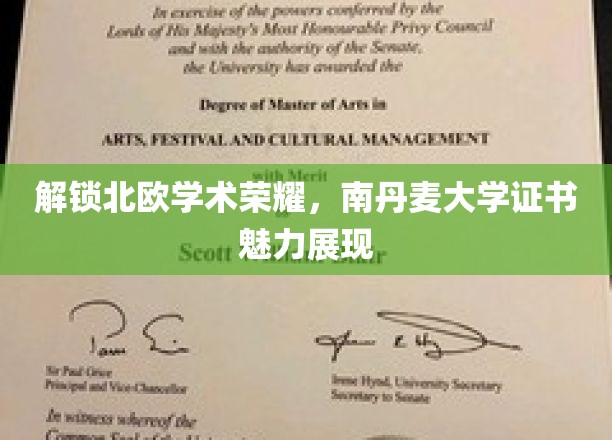 北欧学府之光，南丹麦大学证书的璀璨风采揭秘