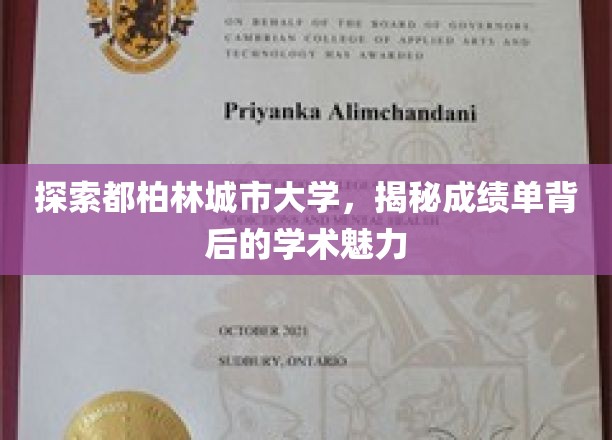 走进都柏林大学，揭秘成绩单中的学术奥秘与城市魅力