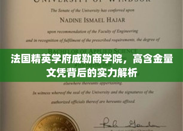 法国精英学府威勒商学院，高含金量文凭背后的实力解析