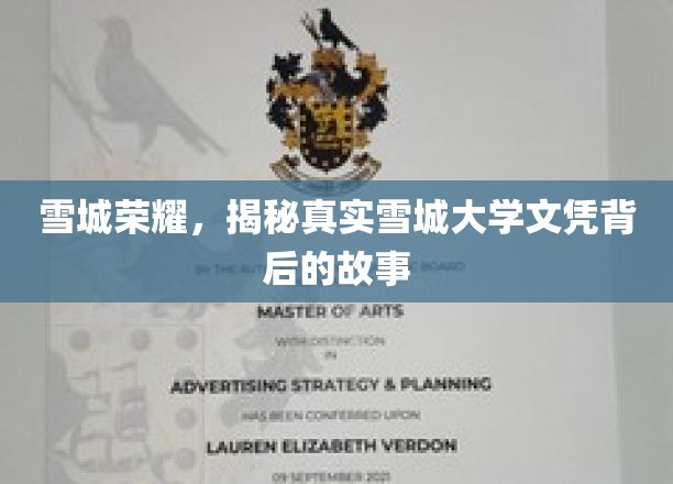 雪城大学文凭背后，探寻真实荣耀的雪城传奇