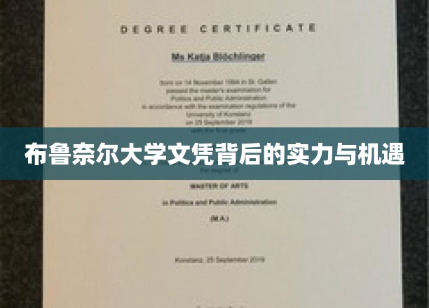 布鲁奈尔大学文凭背后的实力与机遇